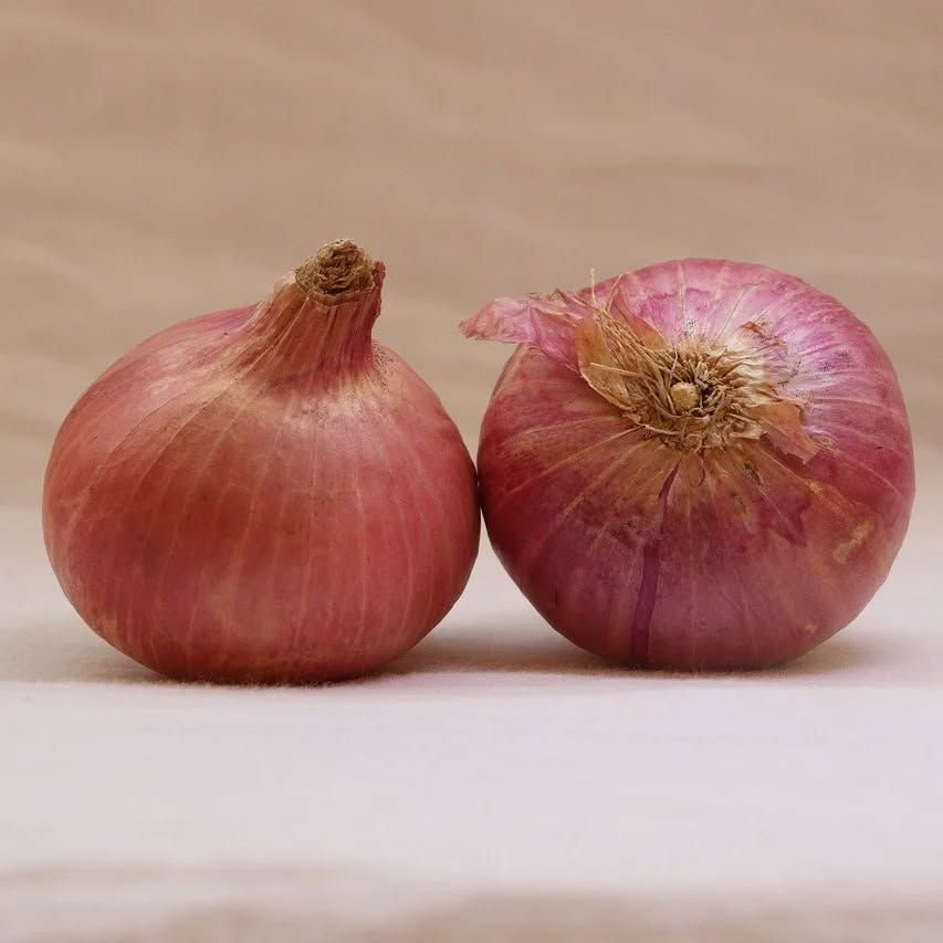onion2